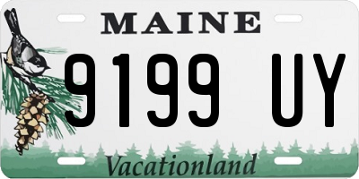 ME license plate 9199UY