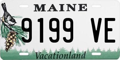 ME license plate 9199VE