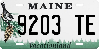 ME license plate 9203TE