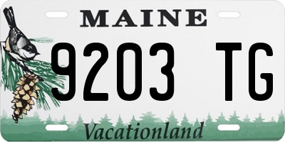 ME license plate 9203TG