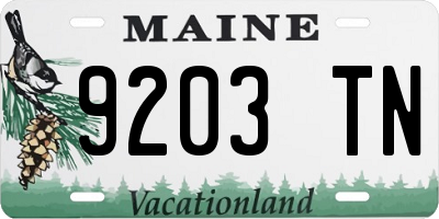 ME license plate 9203TN
