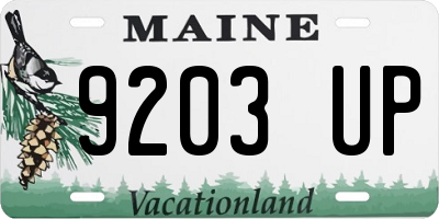 ME license plate 9203UP