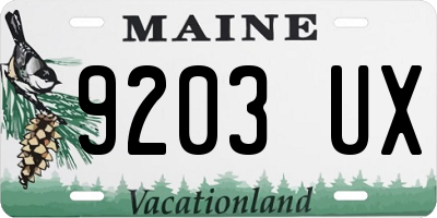 ME license plate 9203UX
