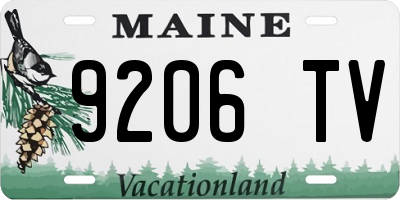 ME license plate 9206TV