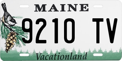 ME license plate 9210TV