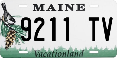 ME license plate 9211TV