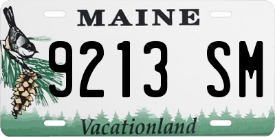 ME license plate 9213SM
