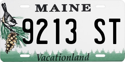 ME license plate 9213ST