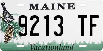 ME license plate 9213TF