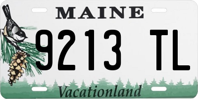ME license plate 9213TL