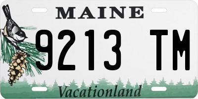 ME license plate 9213TM