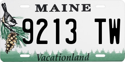 ME license plate 9213TW