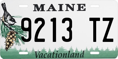 ME license plate 9213TZ