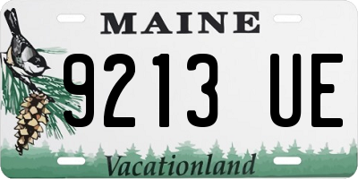 ME license plate 9213UE