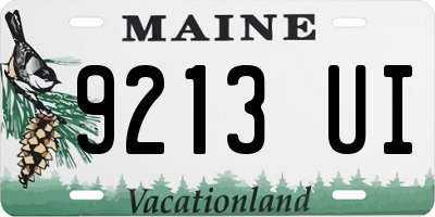 ME license plate 9213UI
