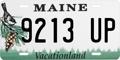 ME license plate 9213UP