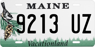 ME license plate 9213UZ