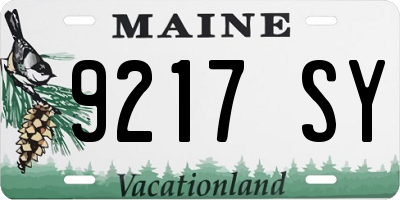 ME license plate 9217SY