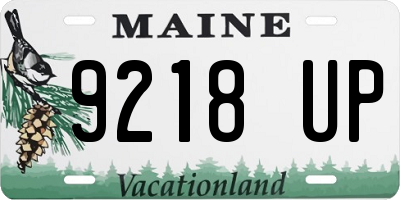 ME license plate 9218UP