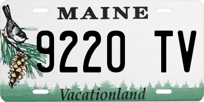 ME license plate 9220TV