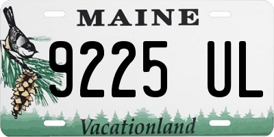 ME license plate 9225UL