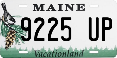 ME license plate 9225UP