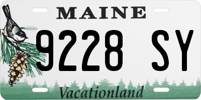 ME license plate 9228SY
