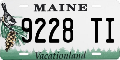 ME license plate 9228TI
