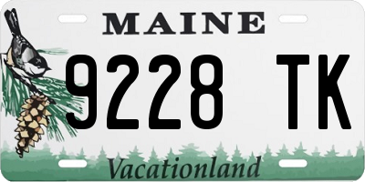 ME license plate 9228TK