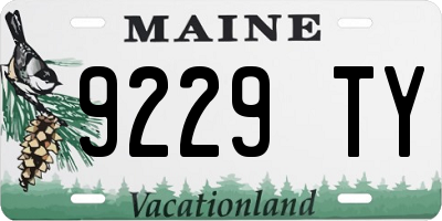 ME license plate 9229TY