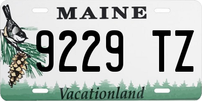 ME license plate 9229TZ