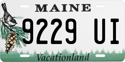 ME license plate 9229UI