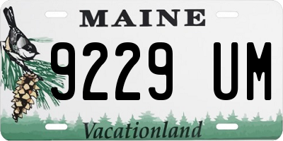 ME license plate 9229UM
