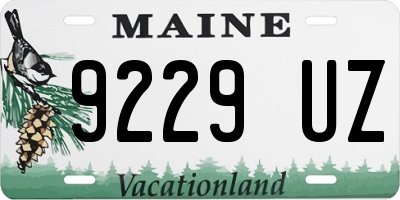 ME license plate 9229UZ