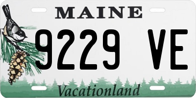 ME license plate 9229VE