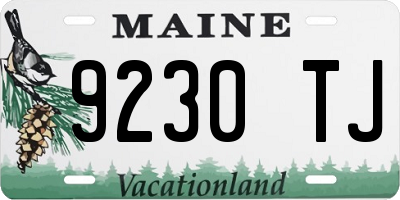 ME license plate 9230TJ