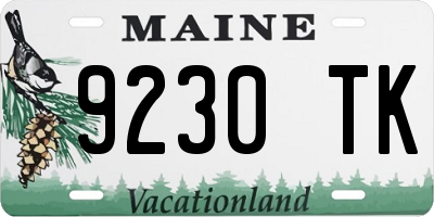 ME license plate 9230TK