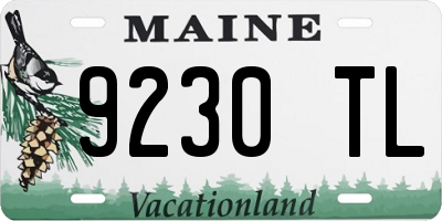 ME license plate 9230TL