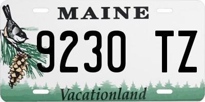 ME license plate 9230TZ