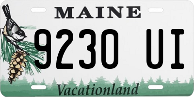 ME license plate 9230UI