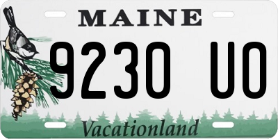 ME license plate 9230UO