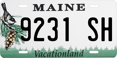 ME license plate 9231SH