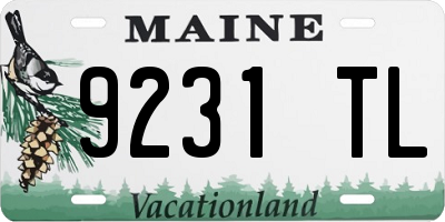 ME license plate 9231TL