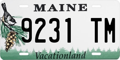 ME license plate 9231TM