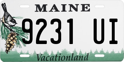 ME license plate 9231UI