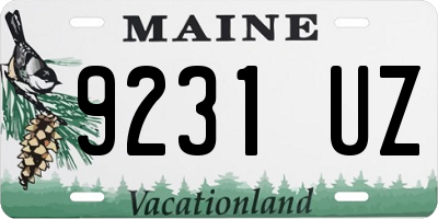 ME license plate 9231UZ