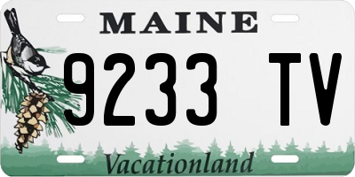 ME license plate 9233TV