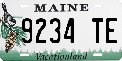 ME license plate 9234TE