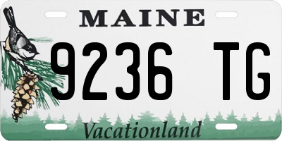 ME license plate 9236TG