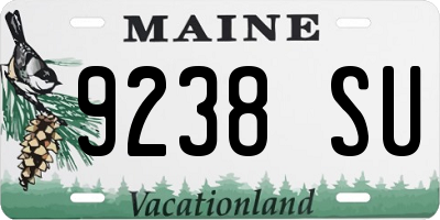 ME license plate 9238SU